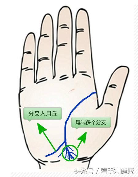 生命線斷開平行|生命線怎樣看？分叉或斷開未必是壞兆頭｜原來左右手、男與女也 